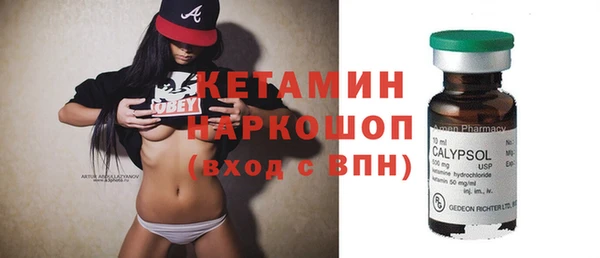 крисы Алексин