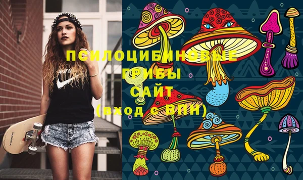 ALPHA PVP Нязепетровск