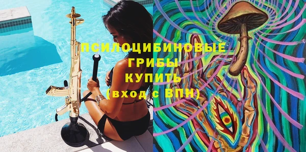 крисы Алексин