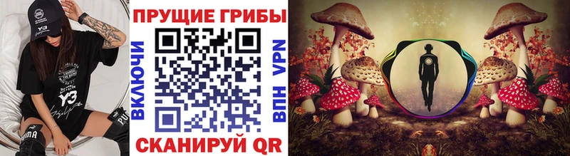 Псилоцибиновые грибы прущие грибы  наркотики  mega зеркало  Сортавала 